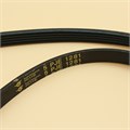 Ремень 5PJE1281 приводной для стиральной машины LERAN WMS 58106 WSD2 RTS174760000084816